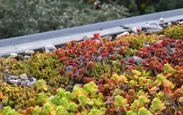the cost of Copsale green roof installation