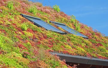 Copsale living roof systems