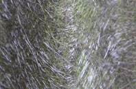 Copsale fibreglass roof work